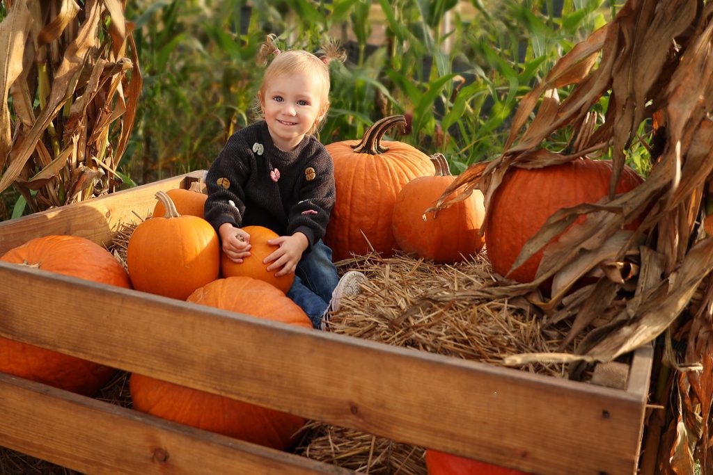 | plener 33 | Tworzenie wyjątkowych kadrów to moja pasja!