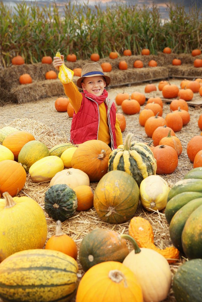 | plener 6 | Tworzenie wyjątkowych kadrów to moja pasja!